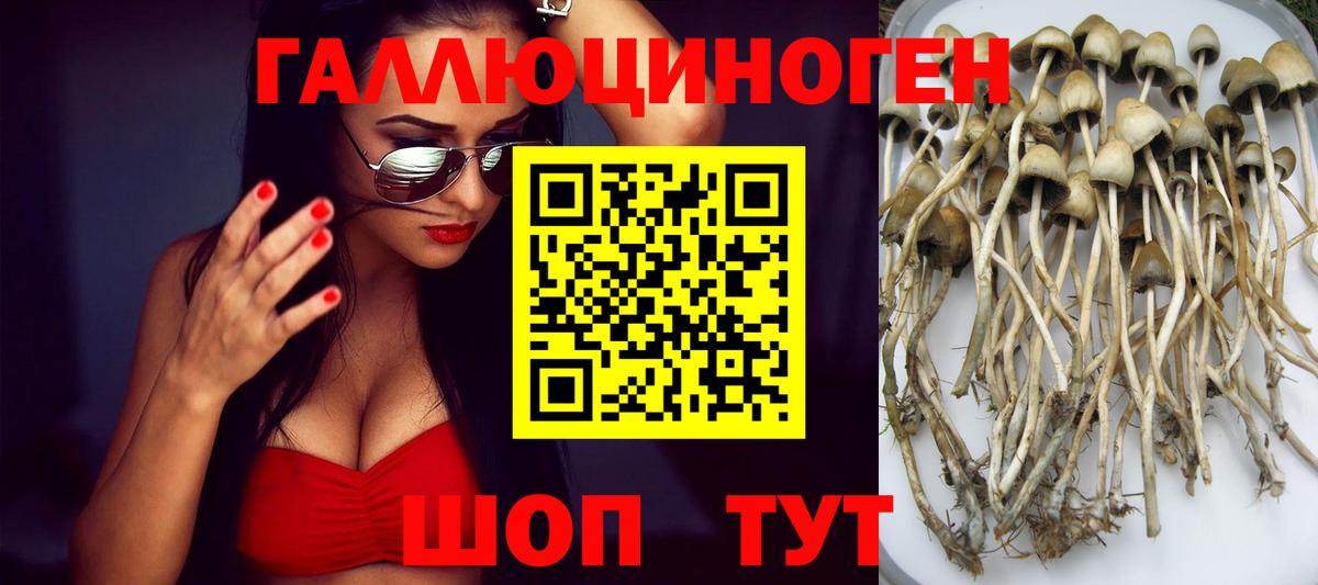 Псилоцибиновые грибы прущие грибы  Галлюциногенные грибы MAGIC MUSHROOMS  Вход с VPN  Воронеж 
